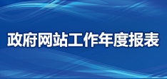 政府网站工作报表(2022年度)